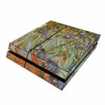 Irises PlayStation 4 Skin