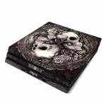 Dioscuri PlayStation 4 Pro Skin
