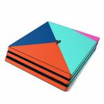 Everyday PlayStation 4 Pro Skin