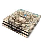 What Do You Seek PlayStation 4 Pro Skin