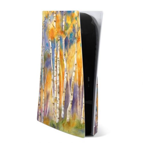 Aspens PlayStation 5 Skin