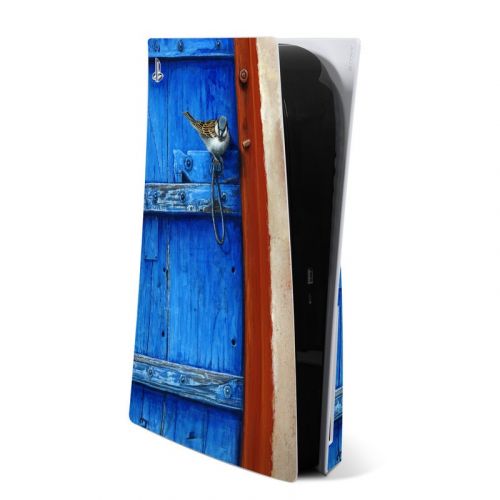 Blue Door PlayStation 5 Skin