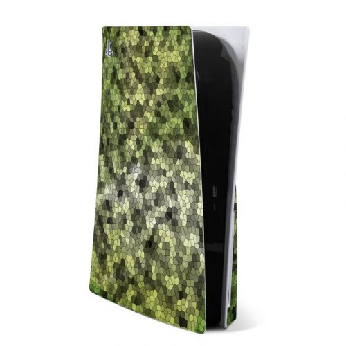 Seeking PlayStation 5 Skin