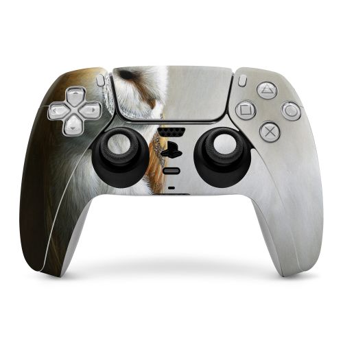 Barn Owl PlayStation 5 Controller Skin