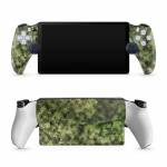 Seeking PlayStation Portal Skin