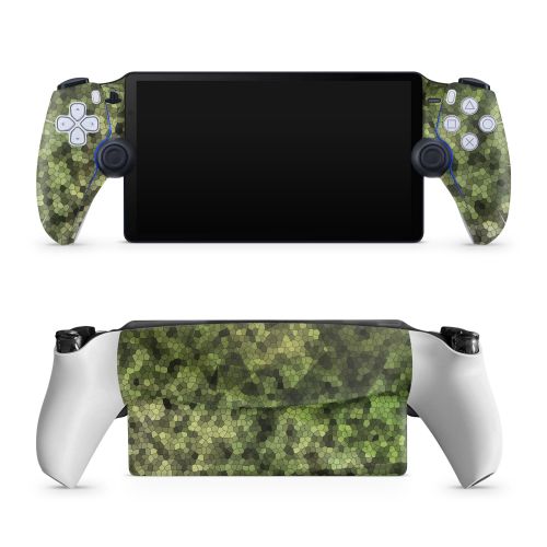 Seeking PlayStation Portal Skin