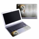 Barn Owl Samsung Chromebook 1 Skin