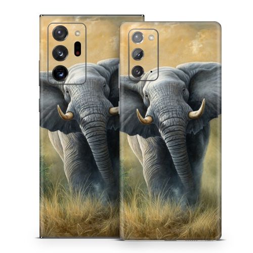 Right of Way Samsung Galaxy Note 20 Series Skin