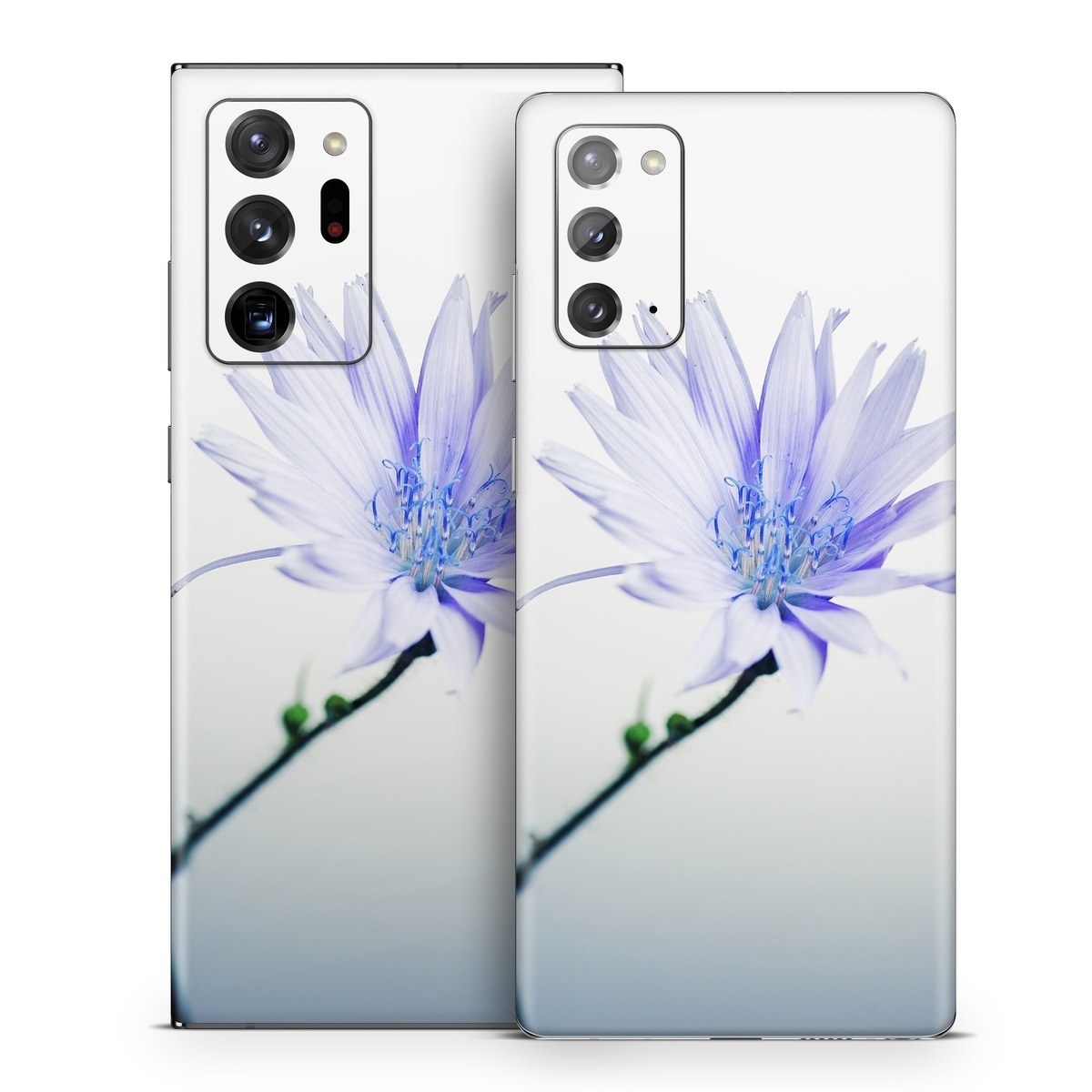 Samsung Galaxy Note 20 Series Skin design of Blue, Flower, Plant, Petal, Close-up, Macro photography, Flowering plant, Herbaceous plant, Wildflower, Photography, with gray, white, yellow colors