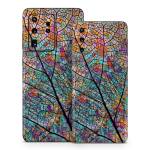 Stained Aspen Samsung Galaxy S20 Series Skin