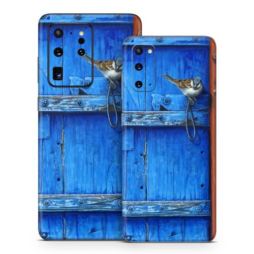 Blue Door Samsung Galaxy S20 Series Skin