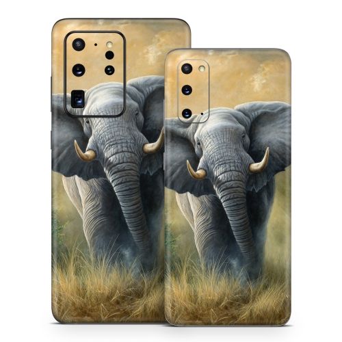 Right of Way Samsung Galaxy S20 Series Skin