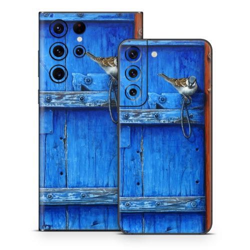 Blue Door Samsung Galaxy S22 Series Skin