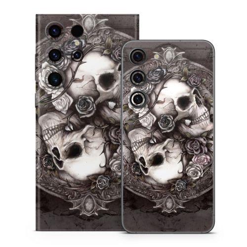 Dioscuri Samsung Galaxy S23 Series Skin