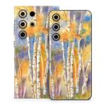 Aspens Samsung Galaxy S24 Series Skin