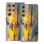 Naples Pier Samsung Galaxy S24 Series Skin