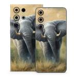 Right of Way Samsung Galaxy S24 Series Skin