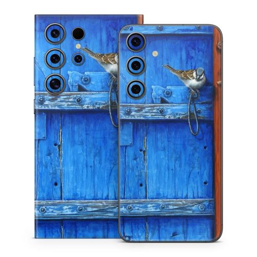 Blue Door Samsung Galaxy S24 Series Skin