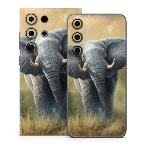 Right of Way Samsung Galaxy S24 Series Skin