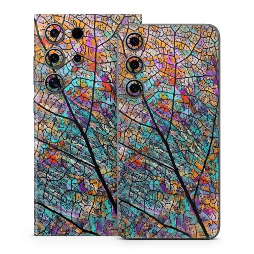 Stained Aspen Samsung Galaxy S24 Series Skin