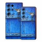 Blue Door Samsung Galaxy S25 Series Skin