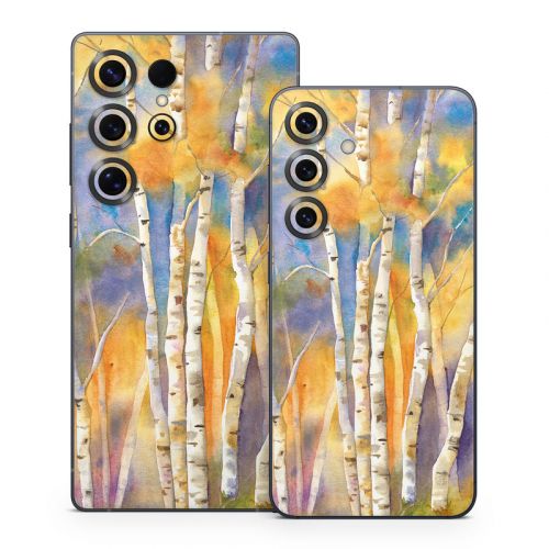 Aspens Samsung Galaxy S25 Series Skin