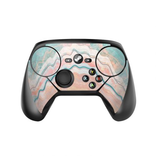 Spring Oyster Valve Steam Controller Skin