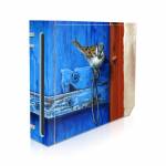Blue Door Wii Skin