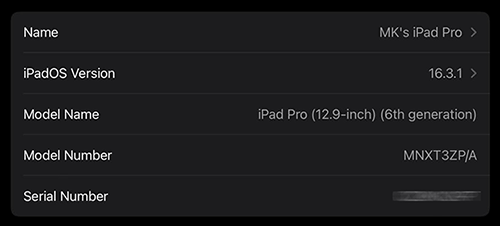 iPad model number in settings 